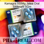 Kamagra 100Mg Oral Jelly Sildenafil 5Gm viagra5